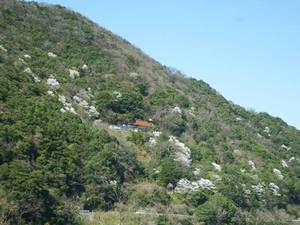 仙岩寺からの眺め　山の斜面