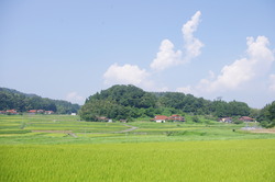 田園