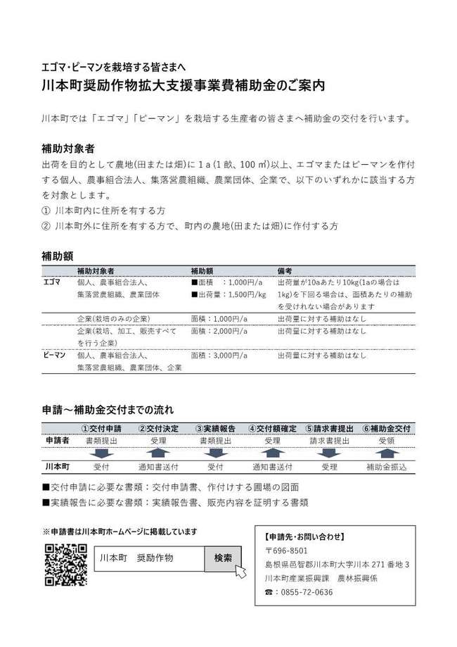 制度案内チラシ