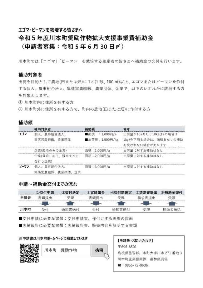 募集チラシ
