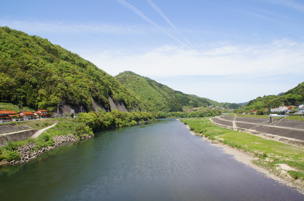 江の川写真（川下）