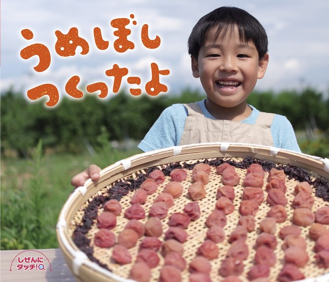 うめぼしつくったよ（１２）