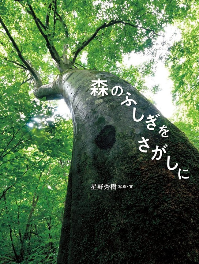 森のふしぎをさがしに（９）